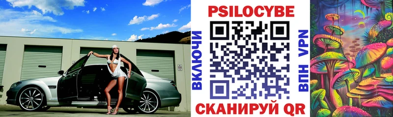 Купить закладки  Кимовск  Галлюциногенные грибы мицелий 